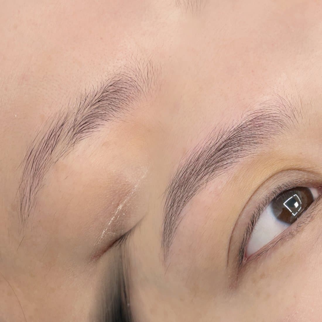 Powder brows healed result